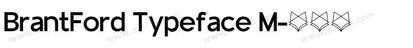 BrantFord Typeface M字体转换